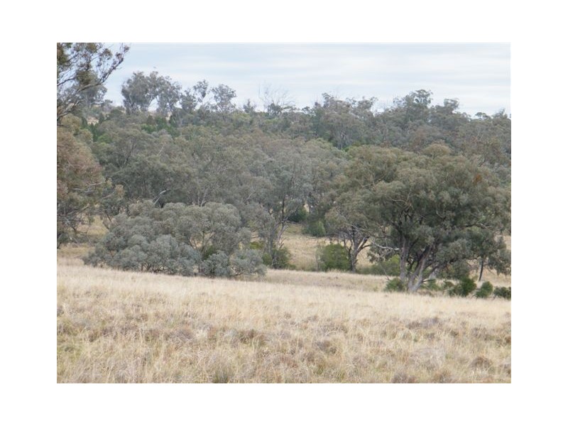 Spring Ridge NSW 2343
