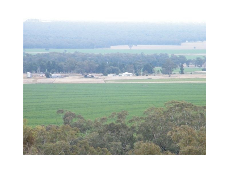 Spring Ridge NSW 2343