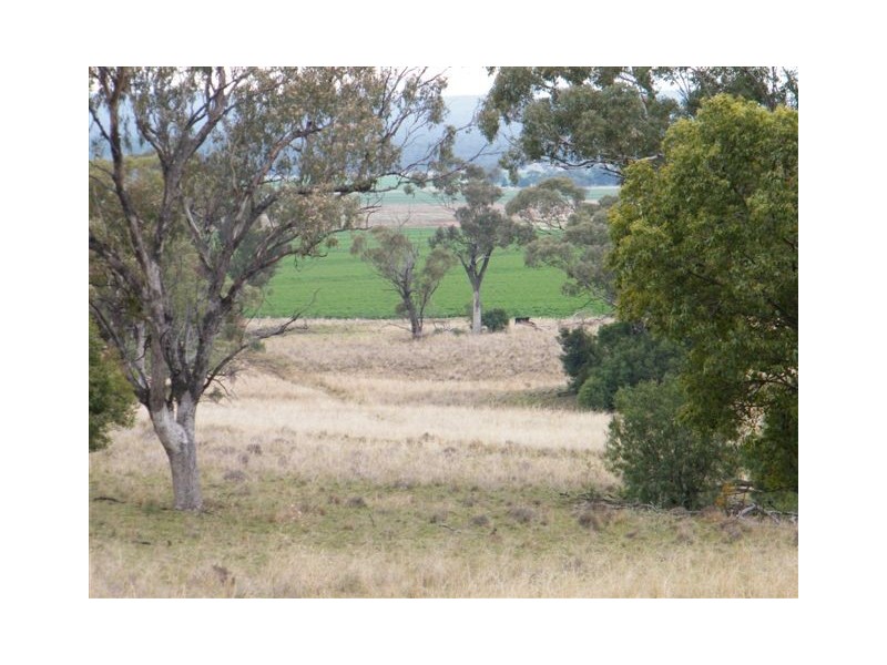 Spring Ridge NSW 2343