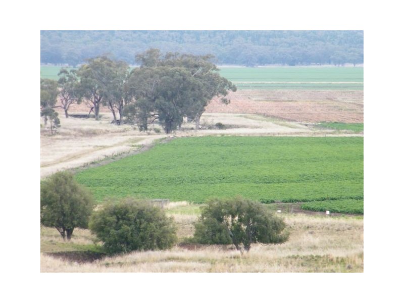 Spring Ridge NSW 2343