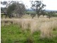 Spring Ridge NSW 2343