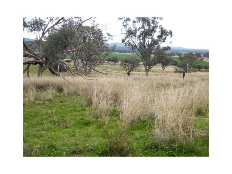 Spring Ridge NSW 2343