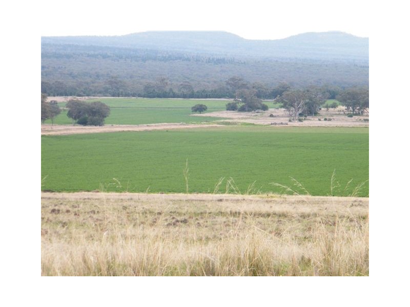 Spring Ridge NSW 2343