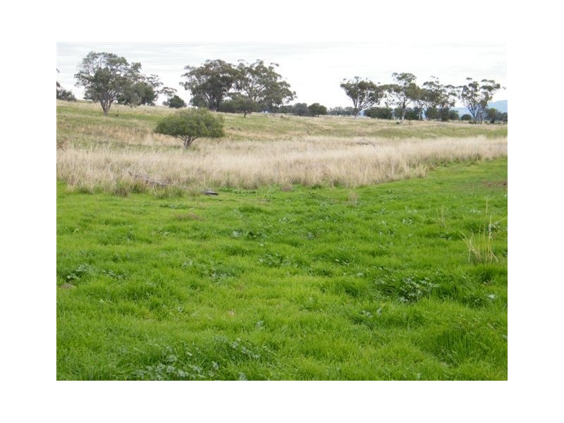 Spring Ridge NSW 2343