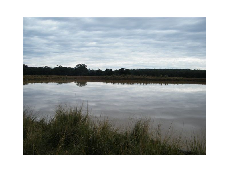 Spring Ridge NSW 2343