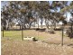 Glentworth Oxley Highway, Coonabarabran NSW 2357