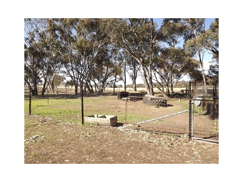 Glentworth Oxley Highway, Coonabarabran NSW 2357