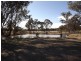 Glentworth Oxley Highway, Coonabarabran NSW 2357