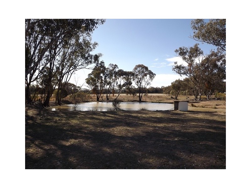 Glentworth Oxley Highway, Coonabarabran NSW 2357