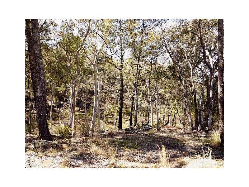 TwinView Baradine Rd, Coonabarabran NSW 2357