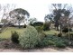 81 Roscrae Lane, Inverell NSW 2360