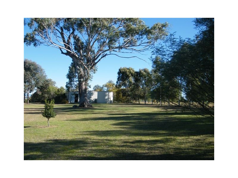 81 Bolah Ridge Road, Quirindi NSW 2343