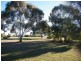 81 Bolah Ridge Road, Quirindi NSW 2343