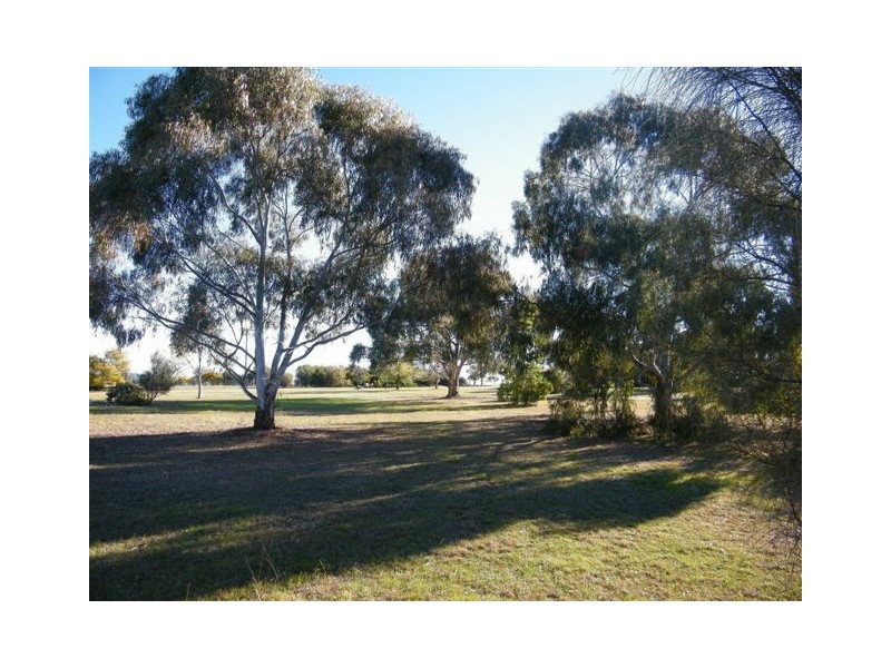 81 Bolah Ridge Road, Quirindi NSW 2343