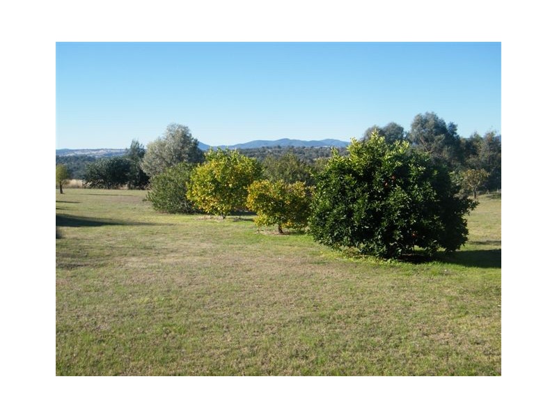 81 Bolah Ridge Road, Quirindi NSW 2343