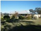 81 Bolah Ridge Road, Quirindi NSW 2343