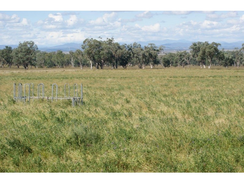 Mooki Springs Road, Quirindi NSW 2343