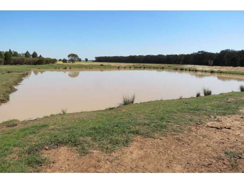 “Warriston” Collie Road, Dubbo NSW 2830