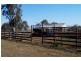 808 Cattle Lane,, Quirindi NSW 2343