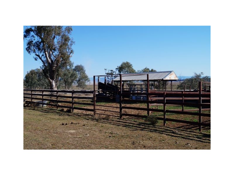 808 Cattle Lane,, Quirindi NSW 2343