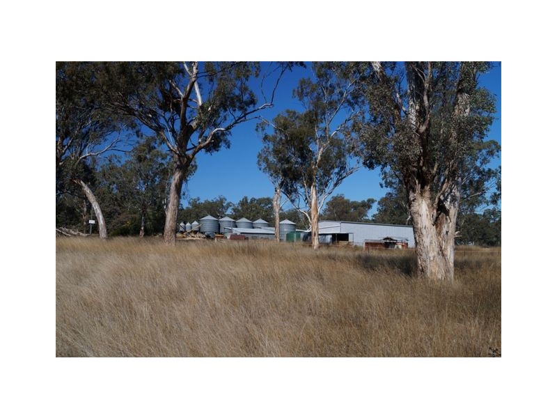 808 Cattle Lane,, Quirindi NSW 2343