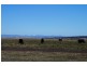 808 Cattle Lane,, Quirindi NSW 2343