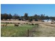 808 Cattle Lane,, Quirindi NSW 2343