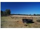 808 Cattle Lane,, Quirindi NSW 2343