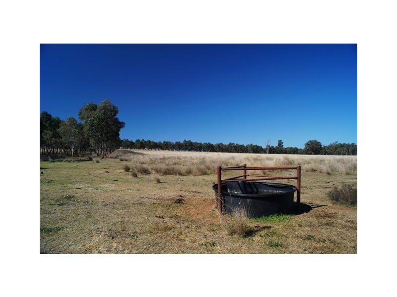 808 Cattle Lane,, Quirindi NSW 2343