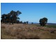 808 Cattle Lane,, Quirindi NSW 2343