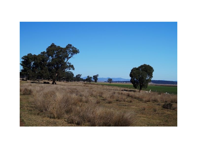 808 Cattle Lane,, Quirindi NSW 2343