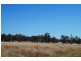 808 Cattle Lane,, Quirindi NSW 2343