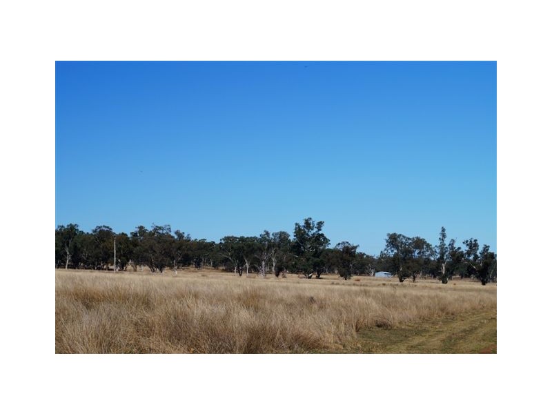 808 Cattle Lane,, Quirindi NSW 2343