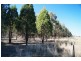 808 Cattle Lane,, Quirindi NSW 2343