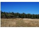 808 Cattle Lane,, Quirindi NSW 2343