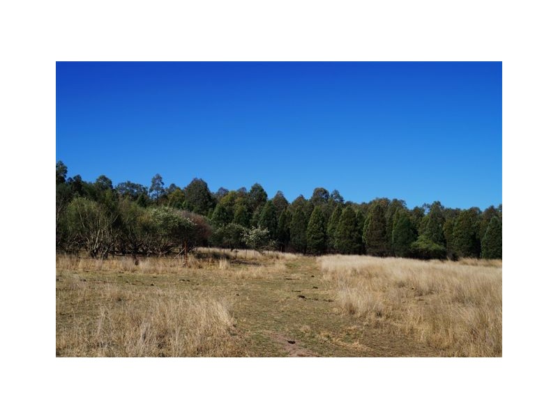 808 Cattle Lane,, Quirindi NSW 2343