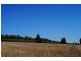 808 Cattle Lane,, Quirindi NSW 2343
