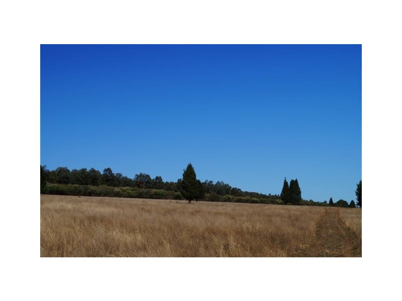 808 Cattle Lane,, Quirindi NSW 2343