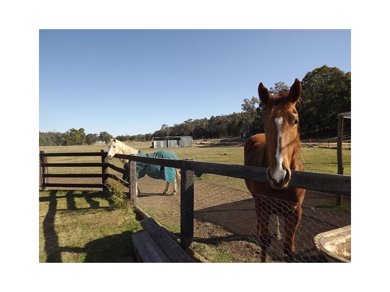 Coonabarabran NSW 2357