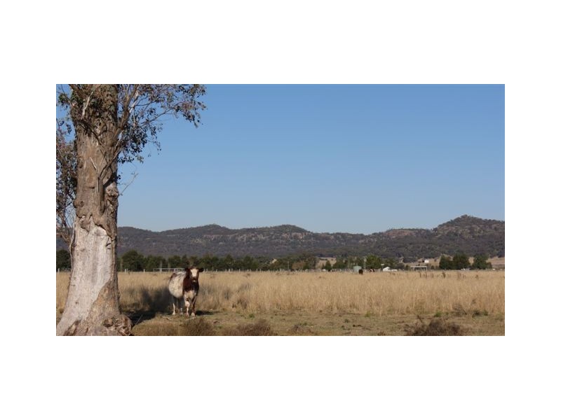 Lot 3, 197 Mt Dangar Road, Sandy Hollow NSW 2333