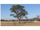 Lot 3, 197 Mt Dangar Road, Sandy Hollow NSW 2333