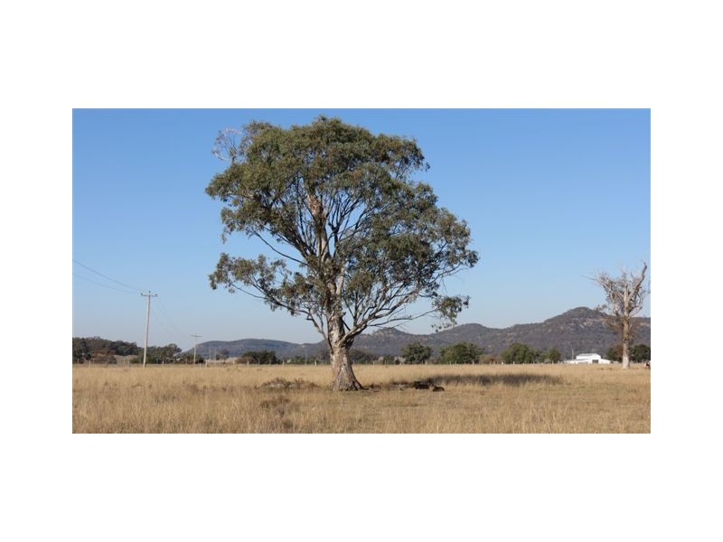 Lot 3, 197 Mt Dangar Road, Sandy Hollow NSW 2333