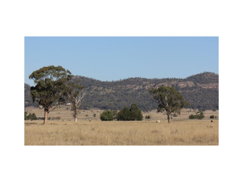 Lot 3, 197 Mt Dangar Road, Sandy Hollow NSW 2333