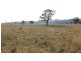 Lot 3, 197 Mt Dangar Road, Sandy Hollow NSW 2333