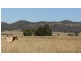 Lot 3, 197 Mt Dangar Road, Sandy Hollow NSW 2333