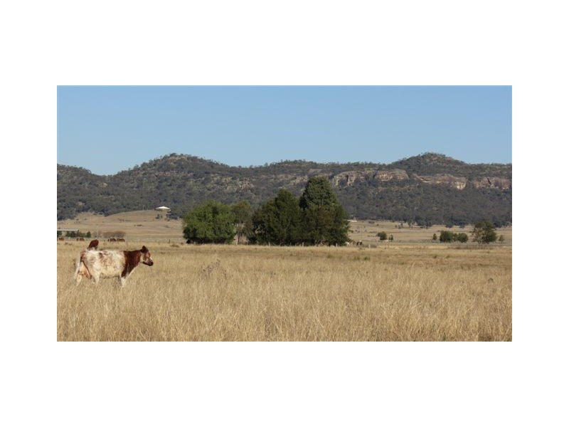 Lot 3, 197 Mt Dangar Road, Sandy Hollow NSW 2333