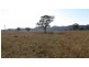 Lot 3, 197 Mt Dangar Road, Sandy Hollow NSW 2333