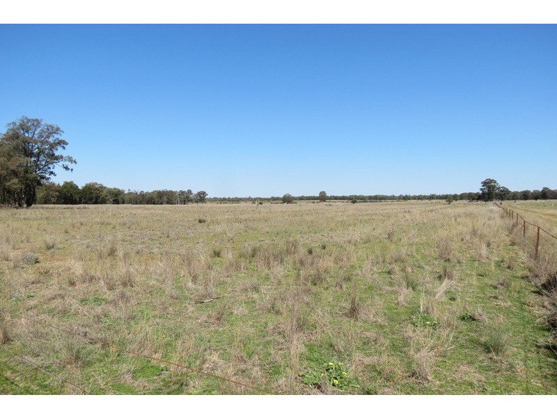 621 Flora Reserve Road, Gilgandra NSW 2827