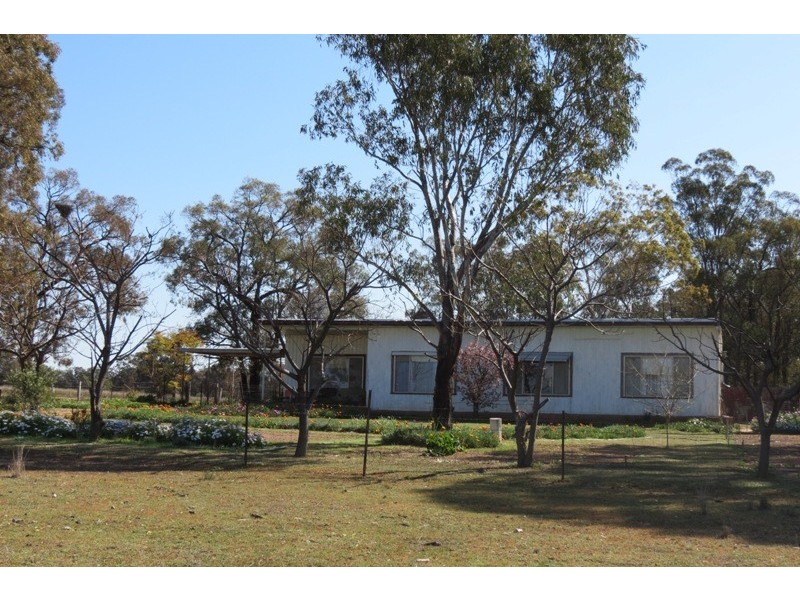 621 Flora Reserve Road, Gilgandra NSW 2827