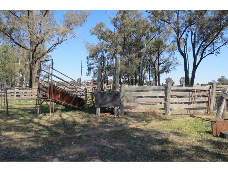 621 Flora Reserve Road, Gilgandra NSW 2827